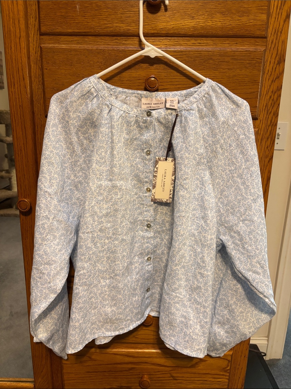 Laura Ashley Light Blue Floral Button-Front Shirt